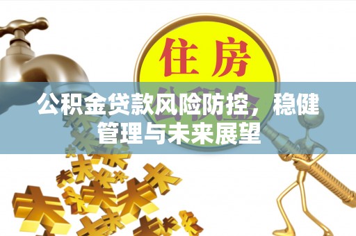 南海公积金贷款风险防控，稳健管理与未来展望