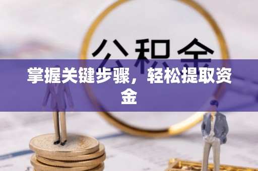 南海掌握关键步骤，轻松提取资金