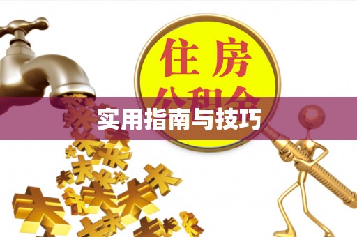南海实用指南与技巧