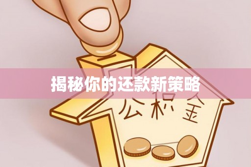 南海揭秘你的还款新策略