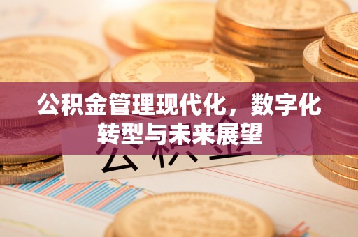 南海公积金管理现代化，数字化转型与未来展望