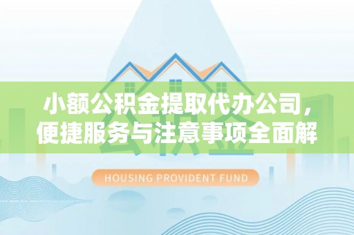 南海小额公积金提取代办公司，便捷服务与注意事项全面解析