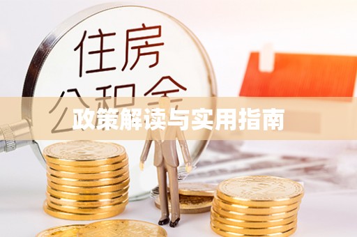 南海政策解读与实用指南