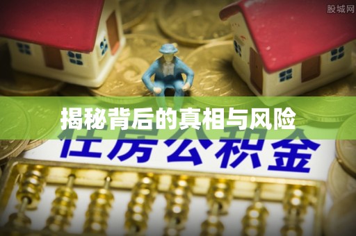 南海揭秘背后的真相与风险