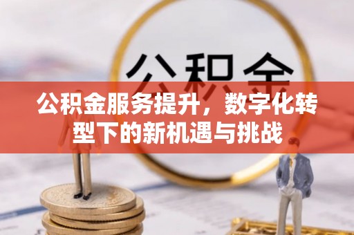 南海公积金服务提升，数字化转型下的新机遇与挑战