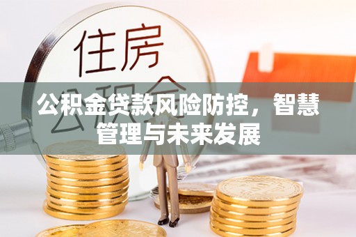 南海公积金贷款风险防控，智慧管理与未来发展