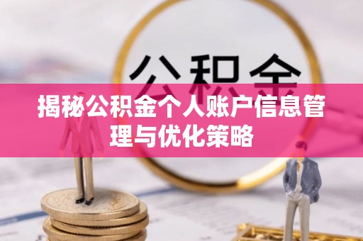 南海揭秘公积金个人账户信息管理与优化策略