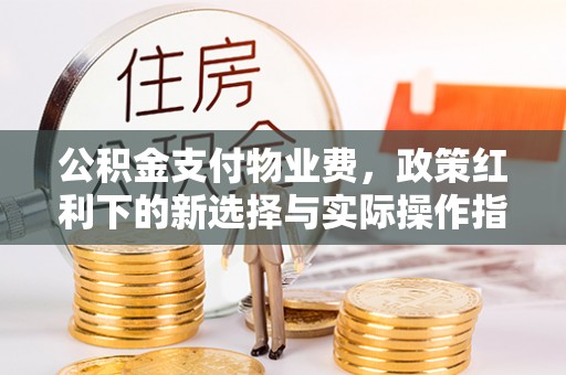 南海公积金支付物业费，政策红利下的新选择与实际操作指南