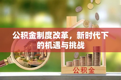 南海公积金制度改革，新时代下的机遇与挑战