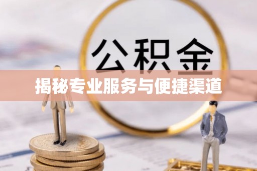 南海揭秘专业服务与便捷渠道