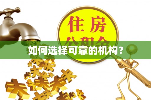 南海如何选择可靠的机构？