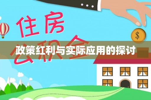 南海政策红利与实际应用的探讨