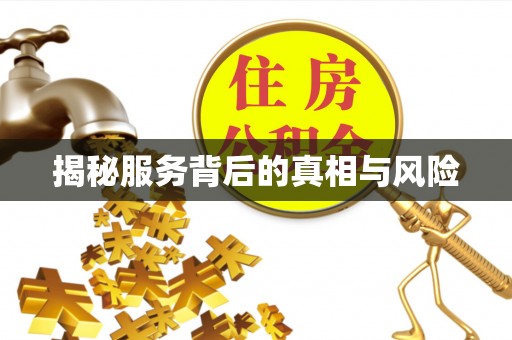 南海揭秘服务背后的真相与风险