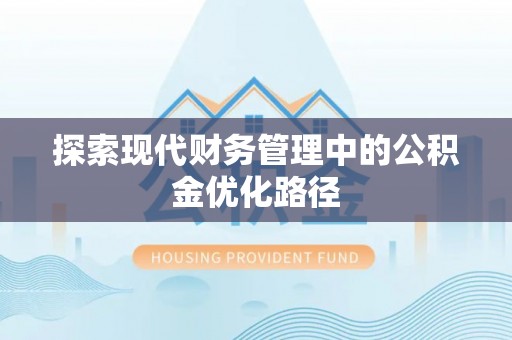 南海探索现代财务管理中的公积金优化路径