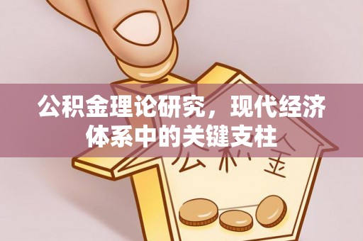 南海公积金理论研究，现代经济体系中的关键支柱