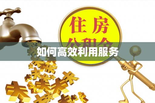 南海如何高效利用服务