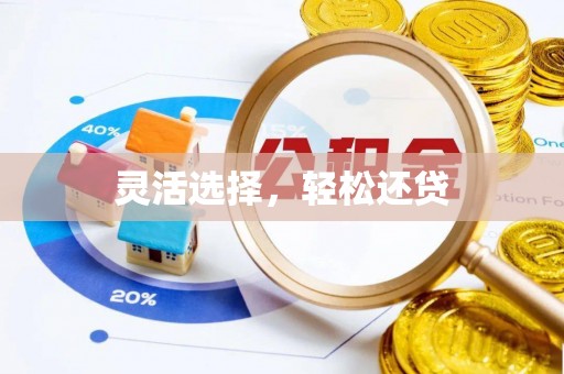 南海灵活选择，轻松还贷