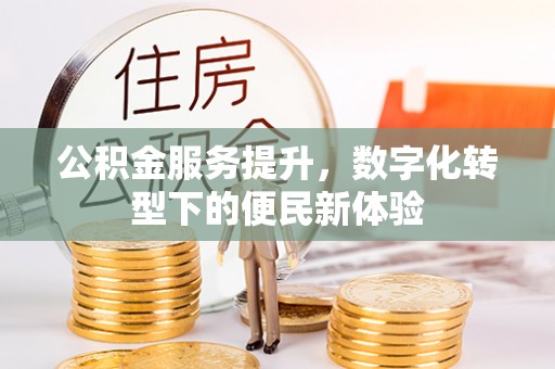 南海公积金服务提升，数字化转型下的便民新体验