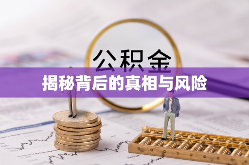 南海揭秘背后的真相与风险