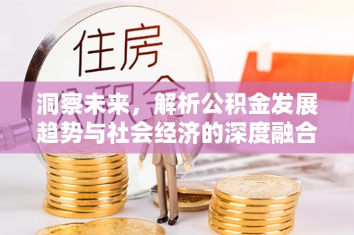 南海洞察未来，解析公积金发展趋势与社会经济的深度融合