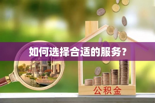 南海如何选择合适的服务？