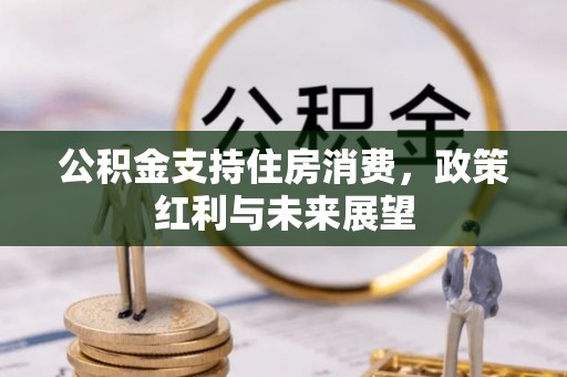 南海公积金支持住房消费，政策红利与未来展望