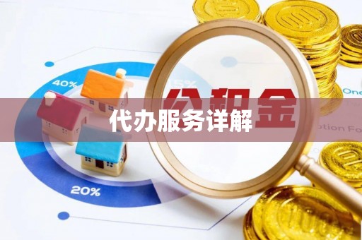 南海代办服务详解