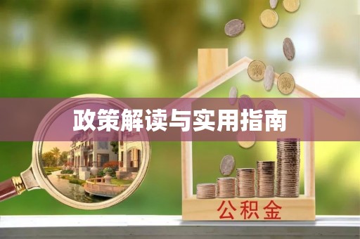 南海政策解读与实用指南