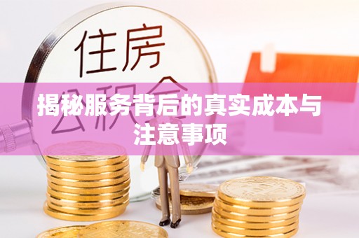 南海揭秘服务背后的真实成本与注意事项
