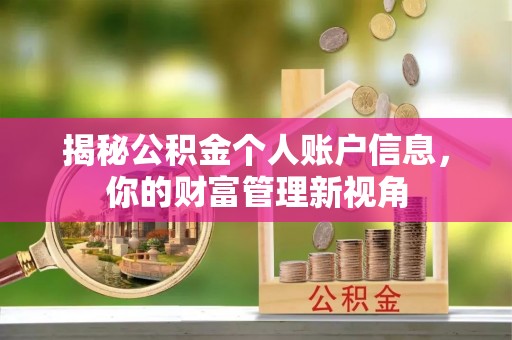 南海揭秘公积金个人账户信息，你的财富管理新视角