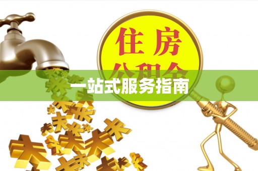 南海一站式服务指南