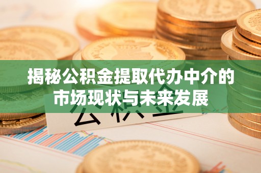 南海揭秘公积金提取代办中介的市场现状与未来发展