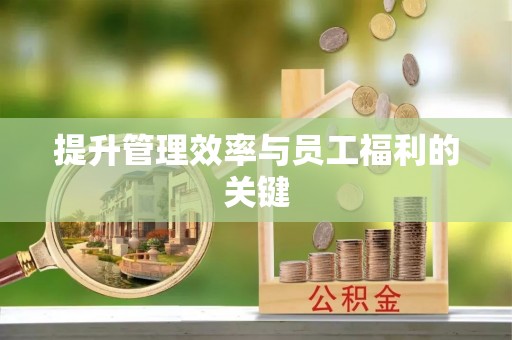 南海提升管理效率与员工福利的关键