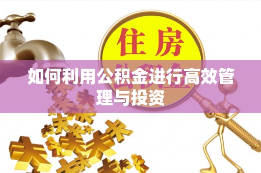 南海如何利用公积金进行高效管理与投资