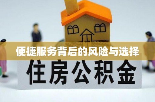 南海便捷服务背后的风险与选择